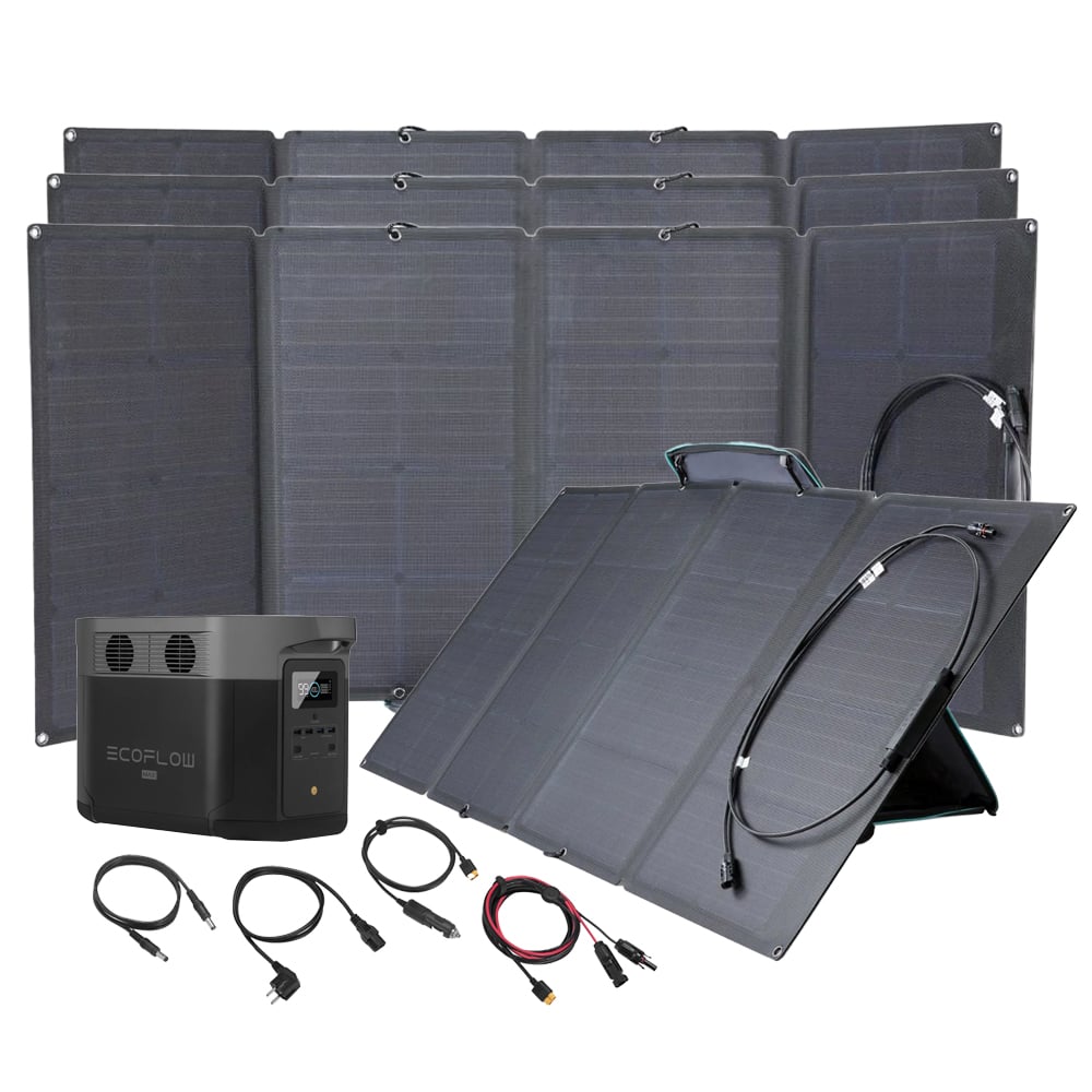 Bundle EcoFlow Delta Max 2000 + 4x 160W Solartasche