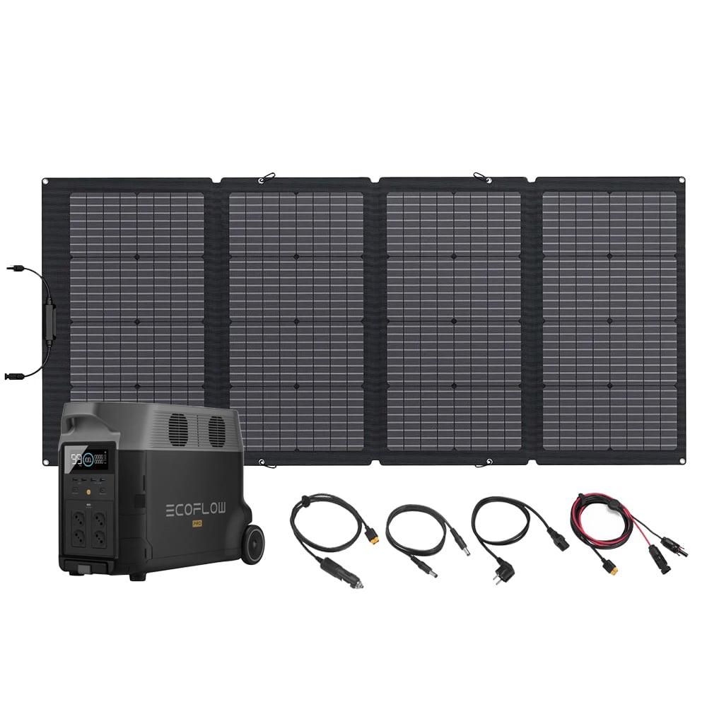Bundle EcoFlow Delta Pro + 1x 220W Solartasche